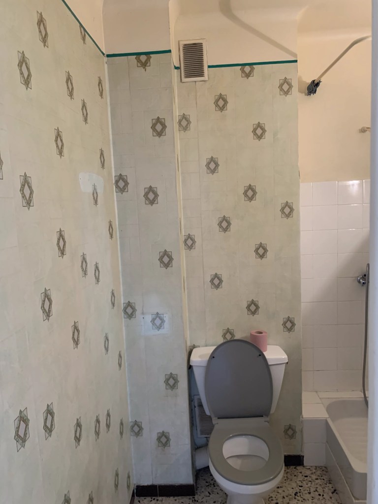 Salle de douche et toilettes avant rénovation